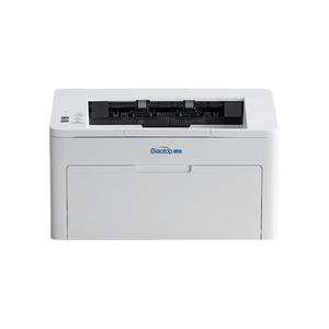 BT-1028W